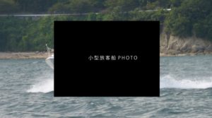 fn002 300x167 - fn002