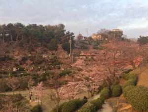 ph002 300x228 - ph002