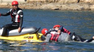 sq001 300x167 - sq001