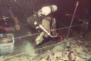 22290734 1608836849178411 430067668 o 300x201 - 22290734_1608836849178411_430067668_o